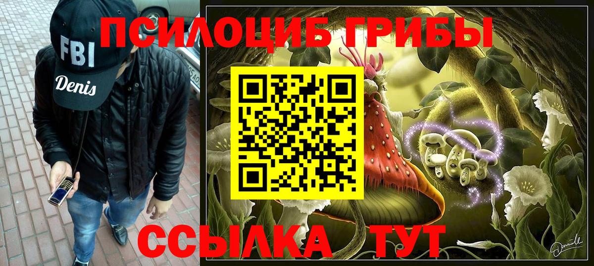 Псилоцибиновые грибы GOLDEN TEACHER Красноярск