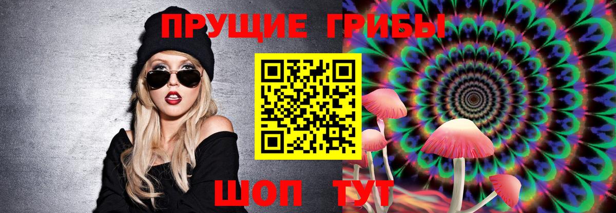 Галлюциногенные грибы Magic Shrooms  Вход с VPN  Красноярск  Галлюциногенные грибы GOLDEN TEACHER 